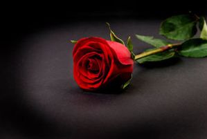 A0625-The-Bachelor_leader.jpg