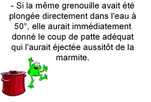 sans titre13