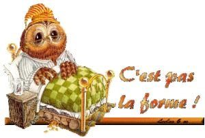 chouette-c-est-pas-la-forme.jpg