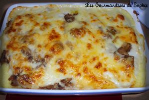 parmentier-poisson-060110.jpg