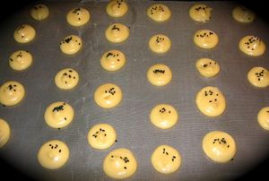 PICT0009