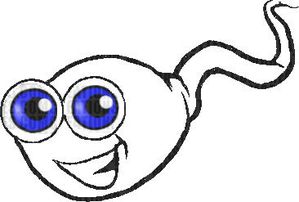 spermatozoide.jpg