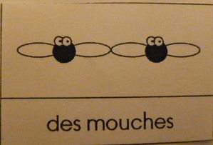 des mouches