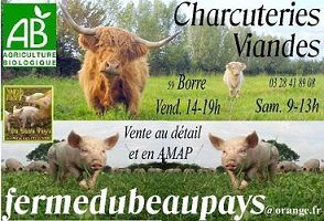 securedownload-copie-1