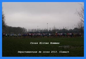 DSC08974--Small-.JPG