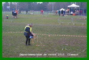 DSC09005--Small-.JPG