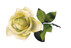 Rose-2.gif