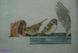 Pecking-order-04-2011.jpg