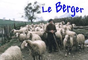 Le Berger