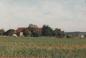 014-copie-3