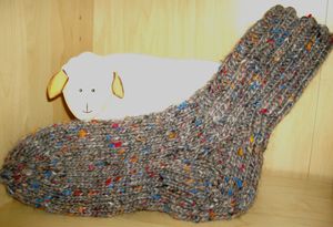 2009-Lopi Socken 1
