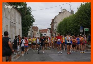 TORCY 2010007 (Medium)