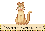 26377131_p.gif