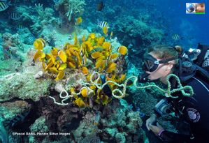 022PascalBARIL_PlaneteBleueImages.jpg