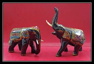 P22 Elephant Asie