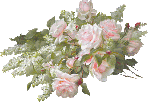 Bouquet de rose blanche et rose
