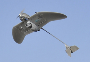 Wasp-AE-Small-Unmanned-Aircraft-System.png