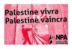 npa pales
