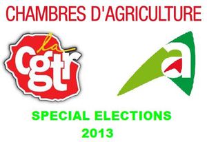 élection chambre agri 2013