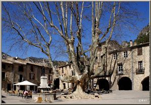 8661-st-guilhem-le-desert-place-de-la-liberte.jpg