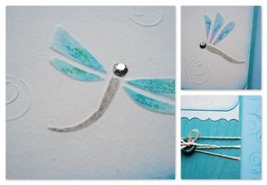 libellules détails