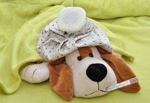 http://img.over-blog.com/300x207/2/98/38/08//chien-malade-et-thermom-tre.jpg