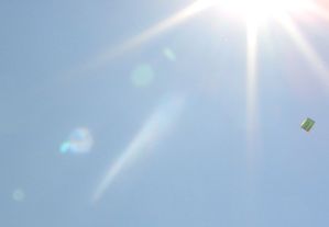 CERV240409 010