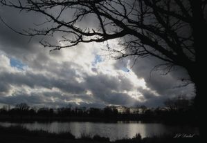 ORAGE