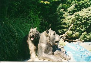 BDF-RENCONTRE-LION.jpg