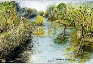une roubine de camargue