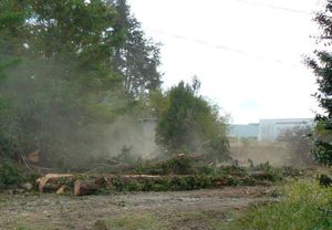 du-cote-du-chemin-des-courses-vers-route-de-cavai-copie-4.jpg