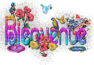 65444524bienvenue-magnifique-gif-copie-1.gif