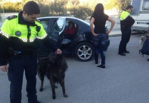 sorprendido-policia.jpg