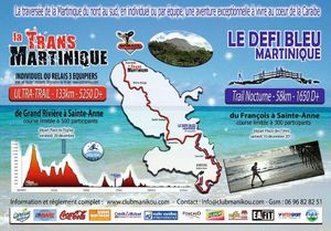 transmartinique.jpg