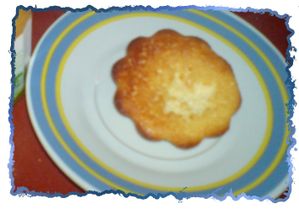 DSC00076-copie-1