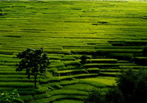 PAISAJES-DE-ORIENTE.jpg