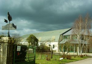 marina-venarey19.jpg