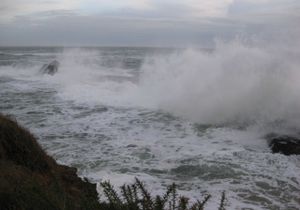 364 cr vagues jetée ajonc 2
