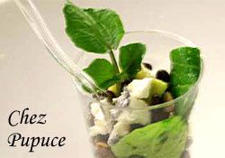 salade-lentille-verte_250.jpg