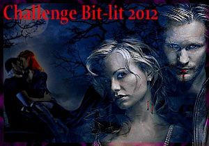 Challenge Bit-lit-2012--logo1-