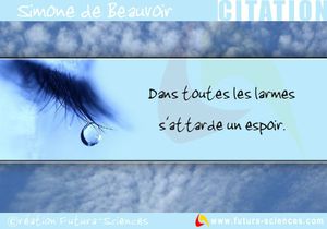 citation-larme-copie-1.jpg
