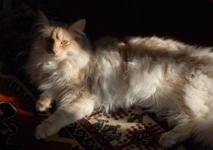 BALADE-PATRICIA-20110039.JPG