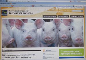 009 r Site Conseil Régional B porcs