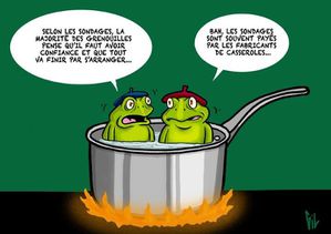 2012_04_14_grenouilles_casserole.jpg