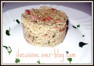 risotto jambon fumé parmesan