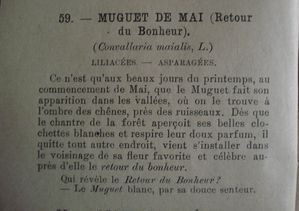 020-copie-1.JPG