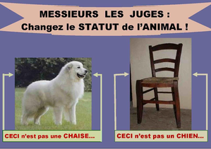 ANIMAUX-STATUT.png