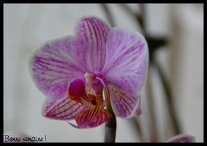 2011-01-181.jpg