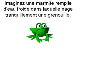 sans titre6