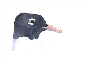 aquarelle mélano 3
